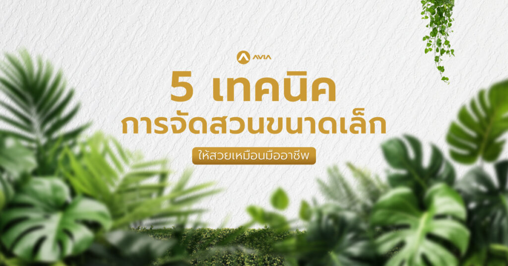 5 เทคนิคการจัดสวนขนาดเล็กให้สวยเหมือนมืออาชีพ