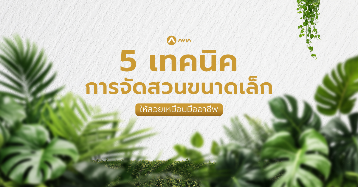 5 เทคนิคการจัดสวนขนาดเล็กให้สวยเหมือนมืออาชีพ